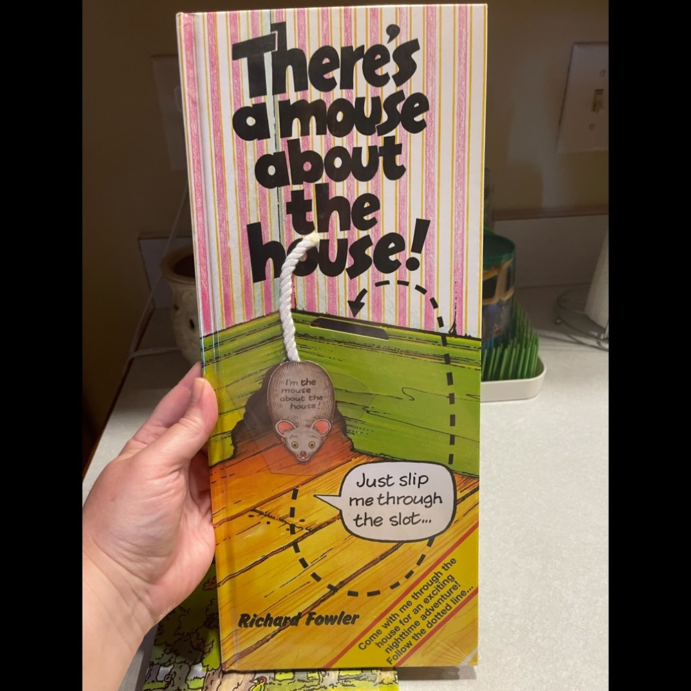There’s a mouse about the house Usborne book.